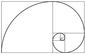 the fibonacci spiral symbol
