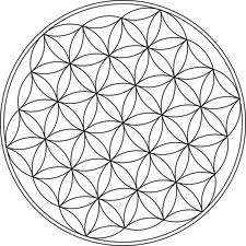 the flower of life symbol