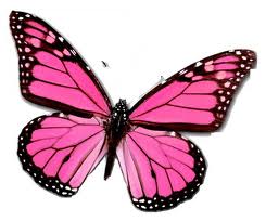 Butterfly Symbolism, The Symbolic Meaning of the Butterfly